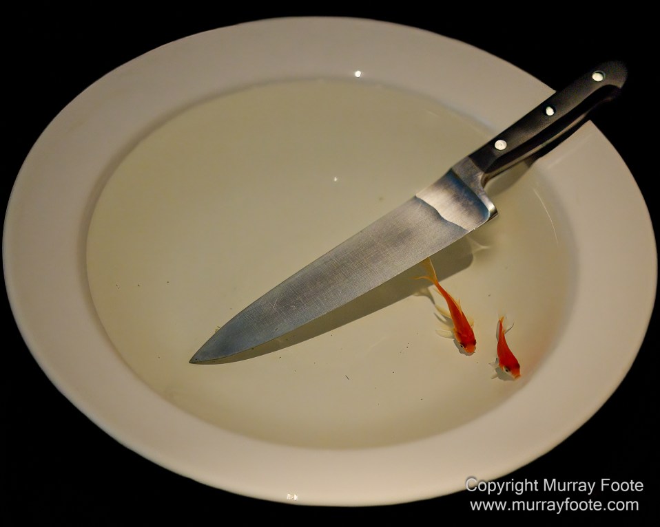 Art, Hobart, Landscape, MoNA, Photography, Sculpture, Shot Tower, Street photography, Tasmania, Travel