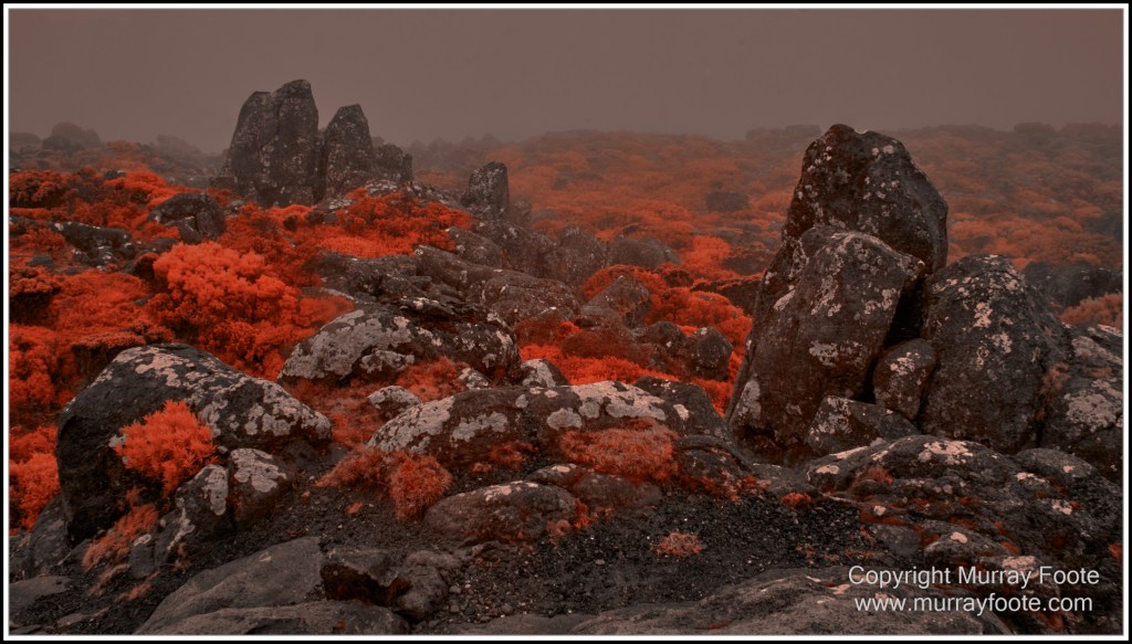 Hobart, Infrared, Landscape, Mount Wellington, Nature, Photography, Tasmania, Travel, Wilderness