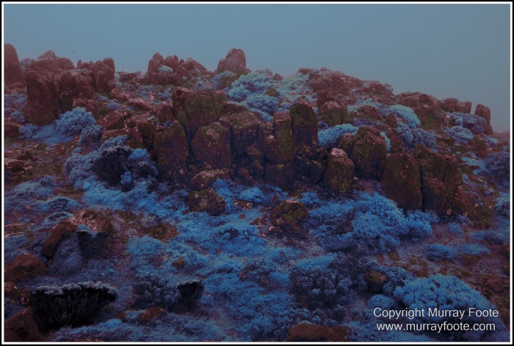 Hobart, Infrared, Landscape, Mount Wellington, Nature, Photography, Tasmania, Travel, Wilderness