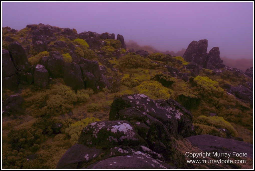 Hobart, Infrared, Landscape, Mount Wellington, Nature, Photography, Tasmania, Travel, Wilderness
