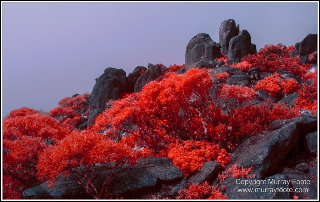 Hobart, Infrared, Landscape, Mount Wellington, Nature, Photography, Tasmania, Travel, Wilderness