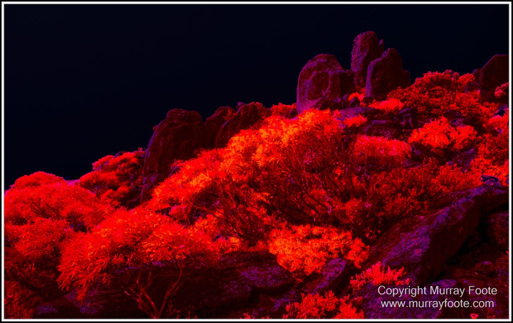 Hobart, Infrared, Landscape, Mount Wellington, Nature, Photography, Tasmania, Travel, Wilderness