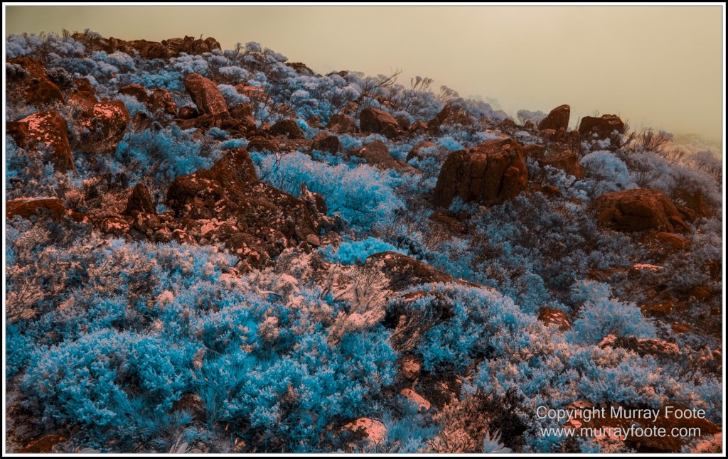 Hobart, Infrared, Landscape, Mount Wellington, Nature, Photography, Tasmania, Travel, Wilderness