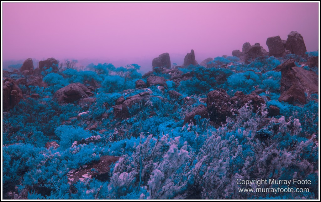 Hobart, Infrared, Landscape, Mount Wellington, Nature, Photography, Tasmania, Travel, Wilderness