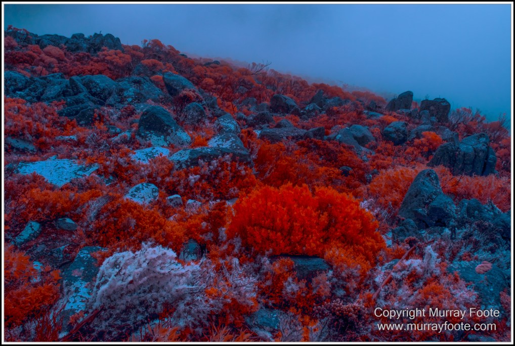 Hobart, Infrared, Landscape, Mount Wellington, Nature, Photography, Tasmania, Travel, Wilderness