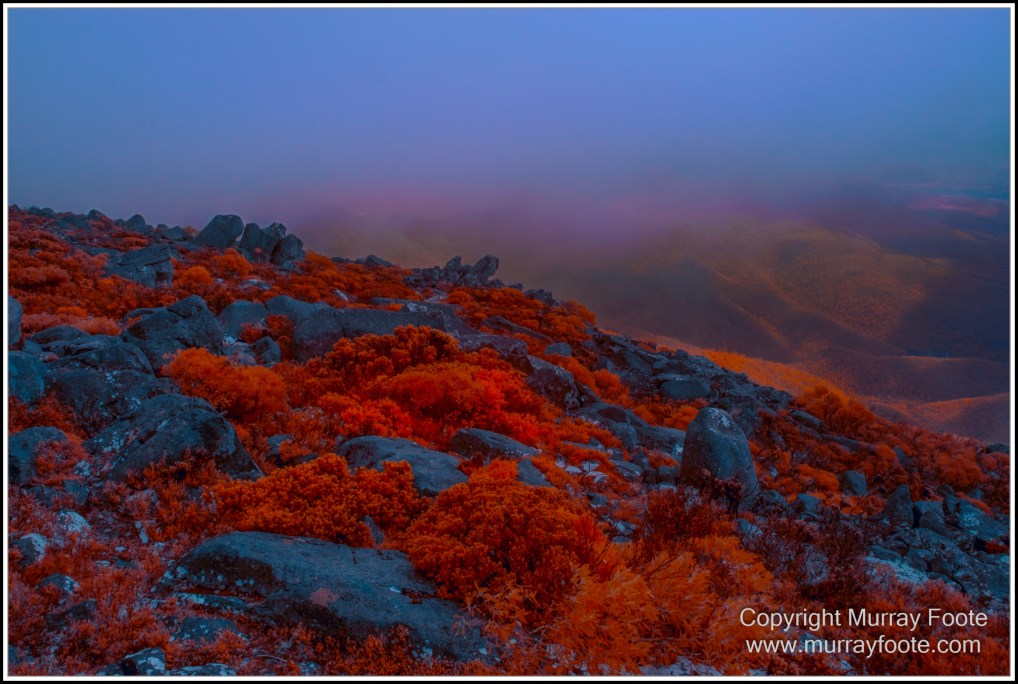Hobart, Infrared, Landscape, Mount Wellington, Nature, Photography, Tasmania, Travel, Wilderness