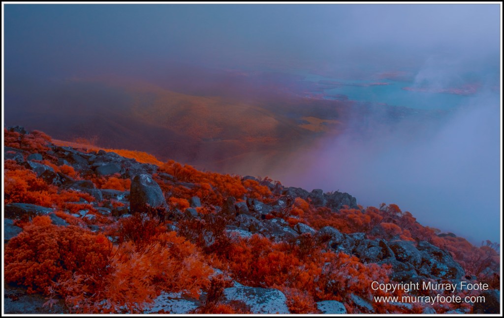 Hobart, Infrared, Landscape, Mount Wellington, Nature, Photography, Tasmania, Travel, Wilderness