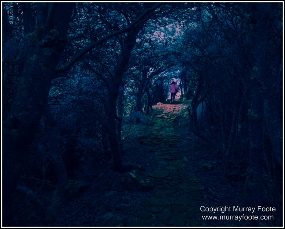 Hobart, Infrared, Landscape, Mount Wellington, Nature, Photography, Tasmania, Travel, Wilderness
