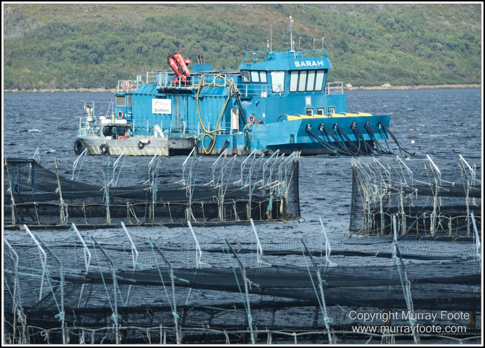 Gordon River, Landscape, Lighthouses, Nature, Photography, seascape, Tasman Island, Tasmania, Travel, Wilderness