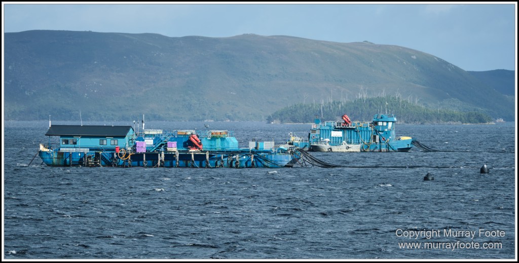 Gordon River, Landscape, Lighthouses, Nature, Photography, seascape, Tasman Island, Tasmania, Travel, Wilderness