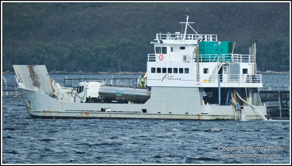 Gordon River, Landscape, Lighthouses, Nature, Photography, seascape, Tasman Island, Tasmania, Travel, Wilderness