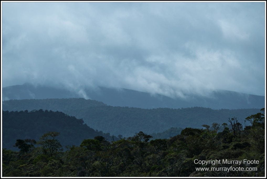 Gordon River, Landscape, Lighthouses, Nature, Photography, seascape, Tasman Island, Tasmania, Travel, Wilderness