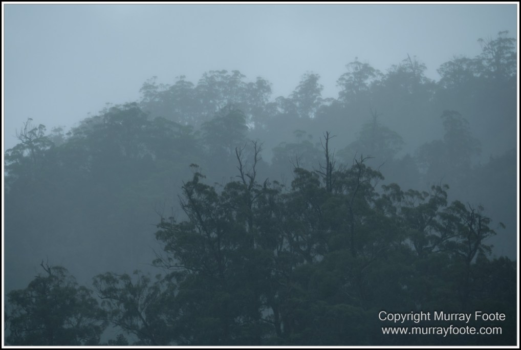 Gordon River, Landscape, Lighthouses, Nature, Photography, seascape, Tasman Island, Tasmania, Travel, Wilderness