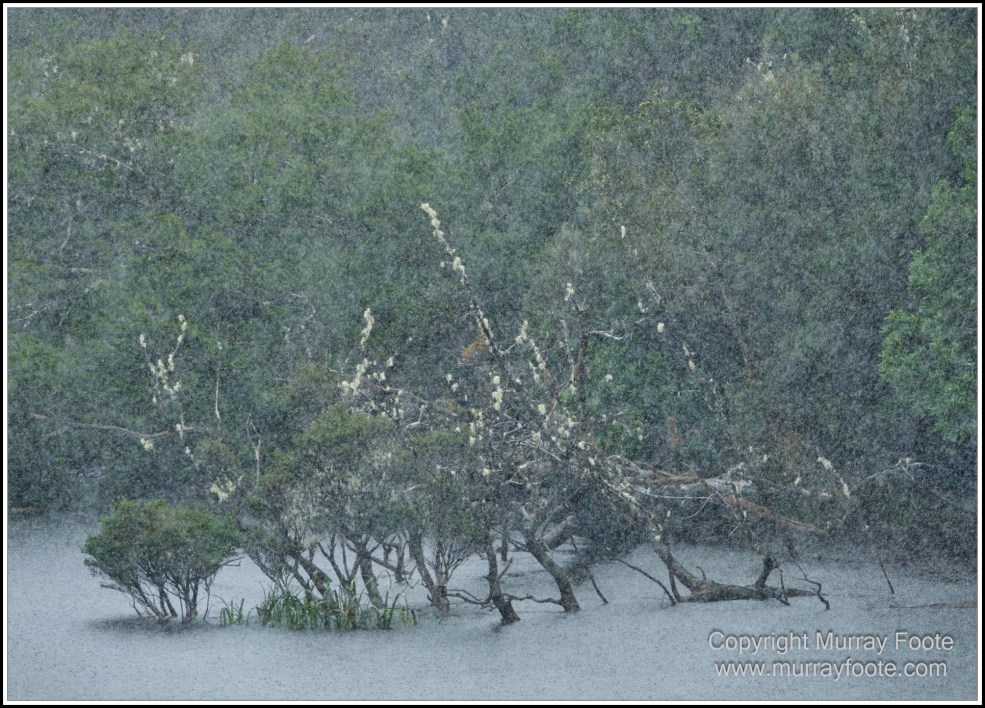 Gordon River, Landscape, Lighthouses, Nature, Photography, seascape, Tasman Island, Tasmania, Travel, Wilderness