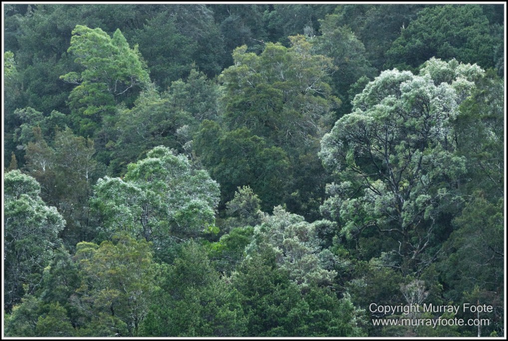 Gordon River, Landscape, Lighthouses, Nature, Photography, seascape, Tasman Island, Tasmania, Travel, Wilderness
