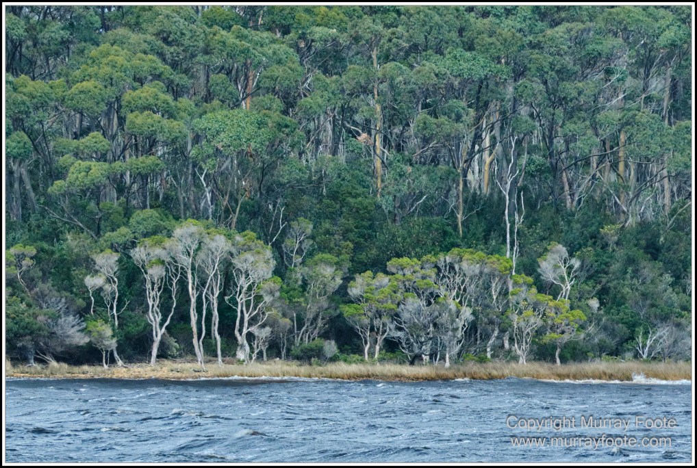 Gordon River, Landscape, Lighthouses, Nature, Photography, seascape, Tasman Island, Tasmania, Travel, Wilderness