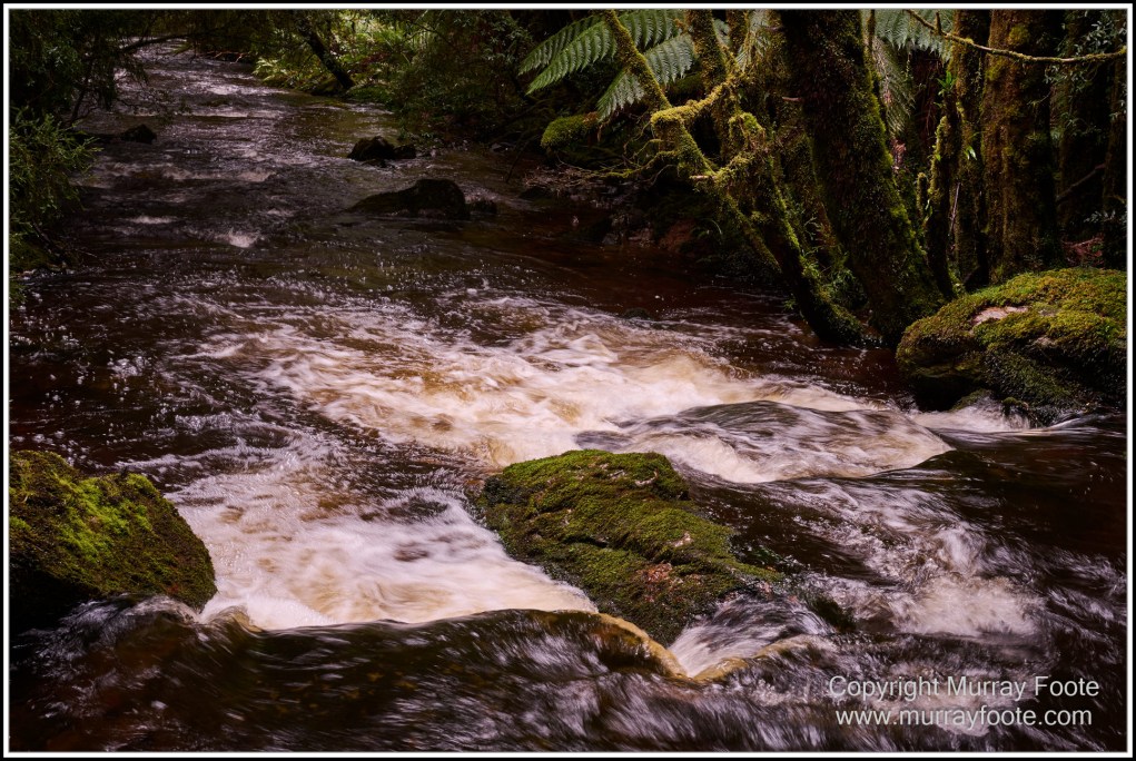 Architecture, Landscape, Linda Cafe, Nature, Nelson Falls, Photography, Tasmania, Travel, Wilderness