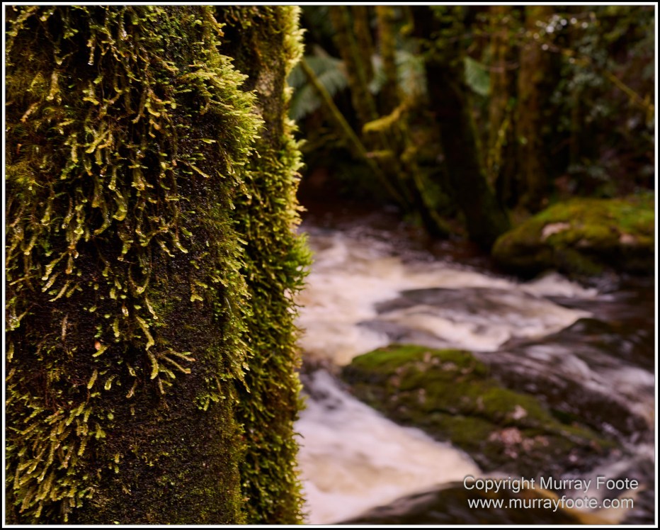 Architecture, Landscape, Linda Cafe, Nature, Nelson Falls, Photography, Tasmania, Travel, Wilderness