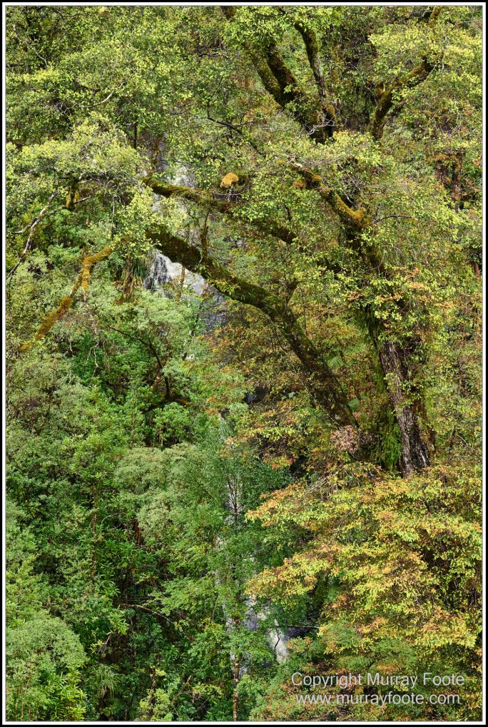 Gordon River, Landscape, Lighthouses, Nature, Photography, seascape, Tasman Island, Tasmania, Travel, Wilderness