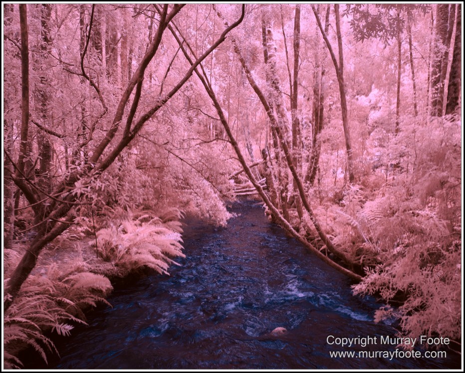 Gordon River, Infrared, Landscape, Macquarie Harbour, Nature, Nelson Falls, Photography, Tasmania, Travel, Wilderness