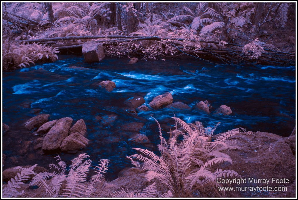 Gordon River, Infrared, Landscape, Macquarie Harbour, Nature, Nelson Falls, Photography, Tasmania, Travel, Wilderness