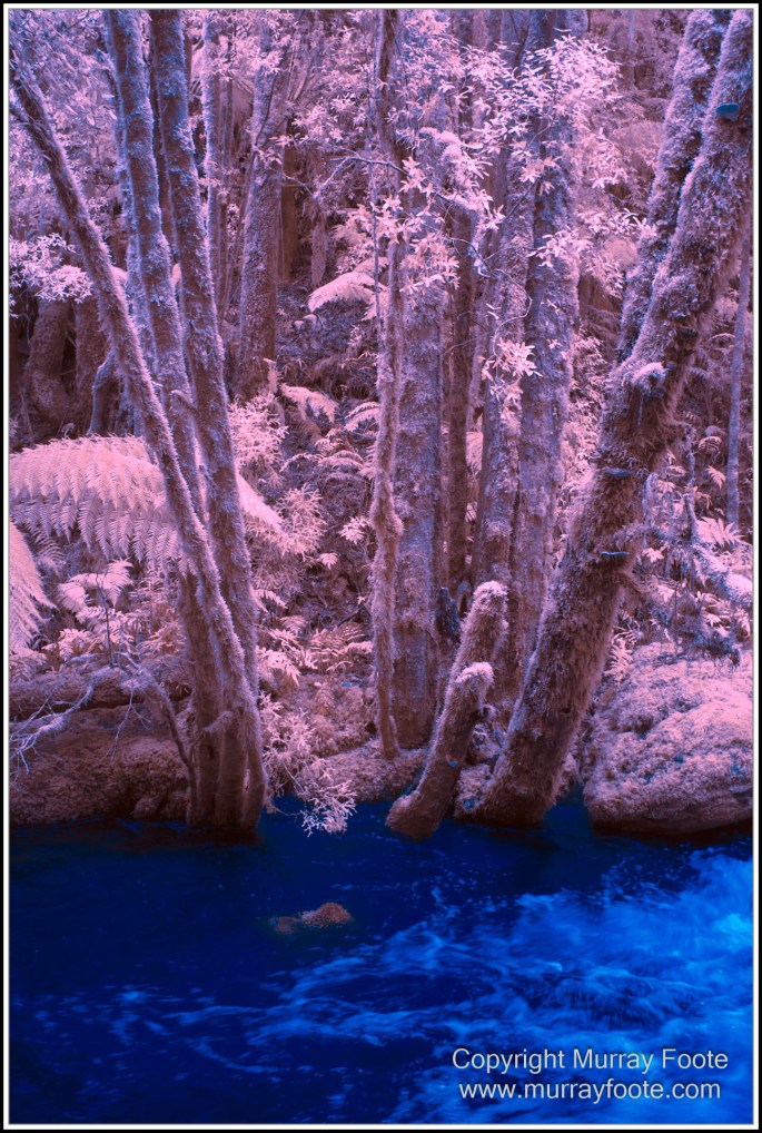 Gordon River, Infrared, Landscape, Macquarie Harbour, Nature, Nelson Falls, Photography, Tasmania, Travel, Wilderness