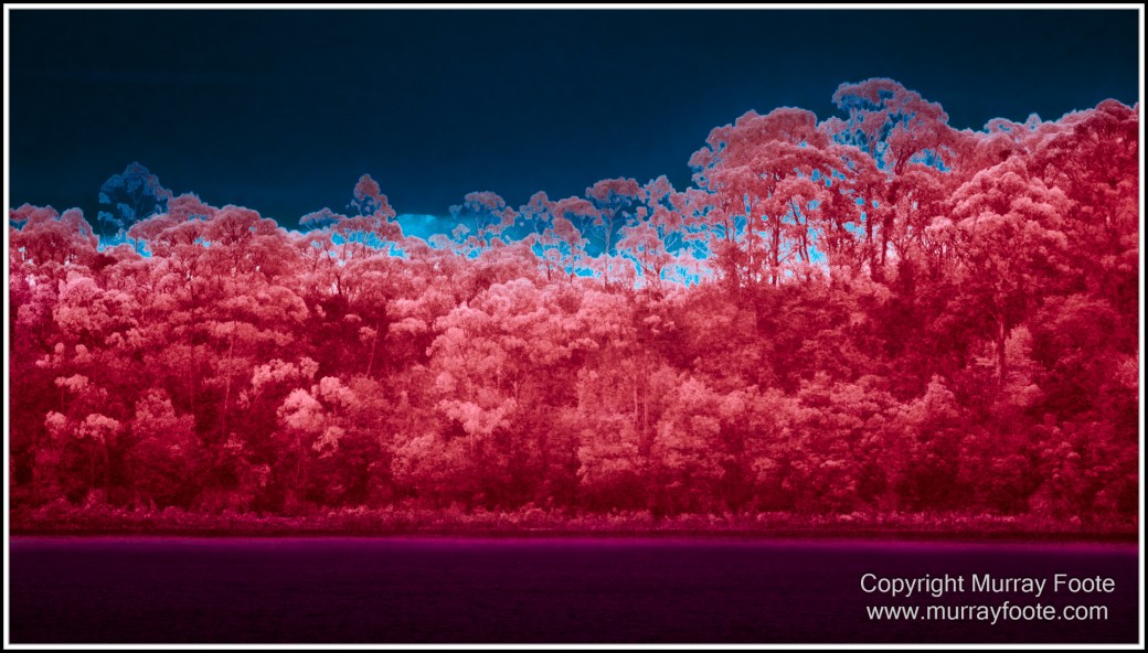 Gordon River, Infrared, Landscape, Macquarie Harbour, Nature, Nelson Falls, Photography, Tasmania, Travel, Wilderness