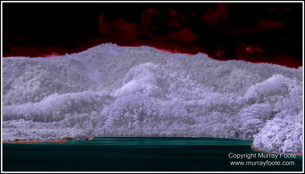 Gordon River, Infrared, Landscape, Macquarie Harbour, Nature, Nelson Falls, Photography, Tasmania, Travel, Wilderness