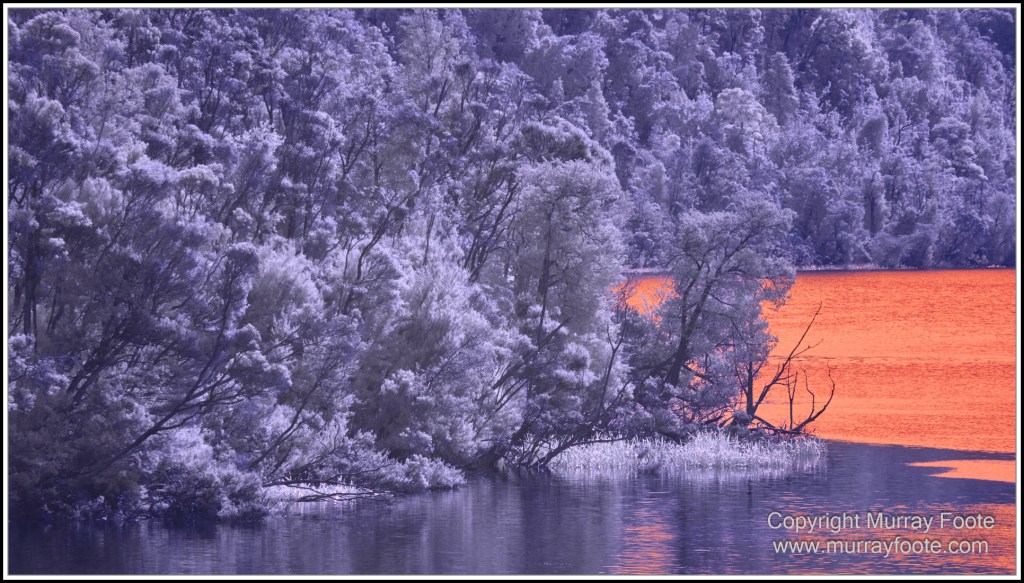 Gordon River, Infrared, Landscape, Macquarie Harbour, Nature, Nelson Falls, Photography, Tasmania, Travel, Wilderness