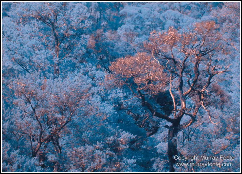 Gordon River, Infrared, Landscape, Macquarie Harbour, Nature, Nelson Falls, Photography, Tasmania, Travel, Wilderness