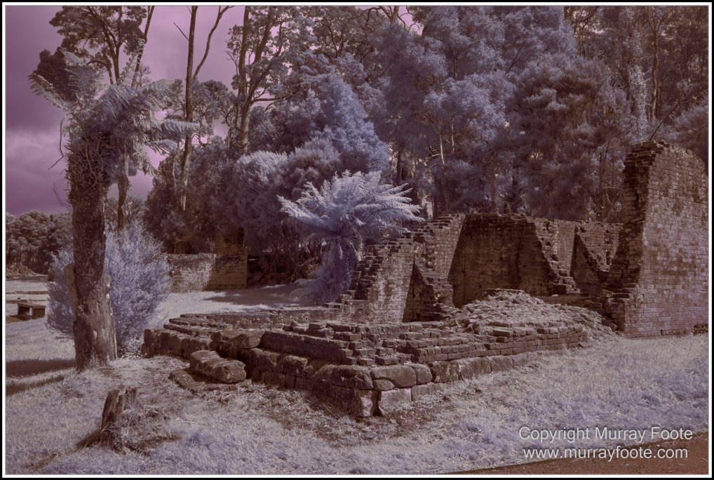 Hogarth Falls, Infrared, Landscape, Macquarie Harbour, Maria Island, Nature, Photography, Tasmania, Travel, Wilderness