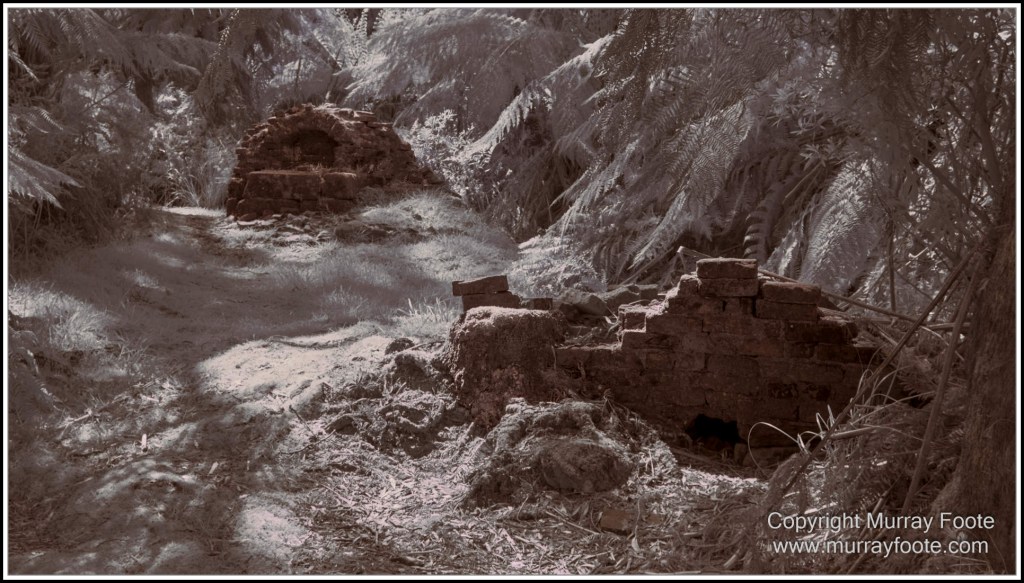 Hogarth Falls, Infrared, Landscape, Macquarie Harbour, Maria Island, Nature, Photography, Tasmania, Travel, Wilderness