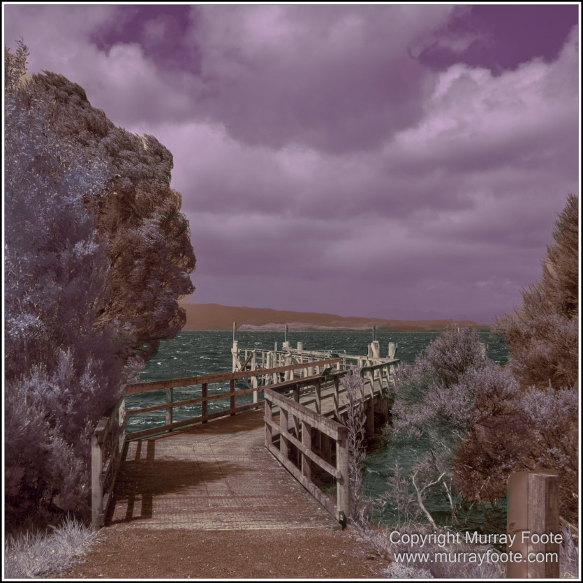 Hogarth Falls, Infrared, Landscape, Macquarie Harbour, Maria Island, Nature, Photography, Tasmania, Travel, Wilderness