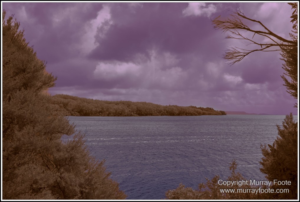 Hogarth Falls, Infrared, Landscape, Macquarie Harbour, Maria Island, Nature, Photography, Tasmania, Travel, Wilderness