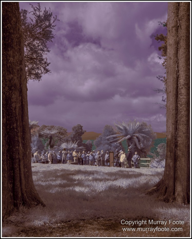 Hogarth Falls, Infrared, Landscape, Macquarie Harbour, Maria Island, Nature, Photography, Tasmania, Travel, Wilderness