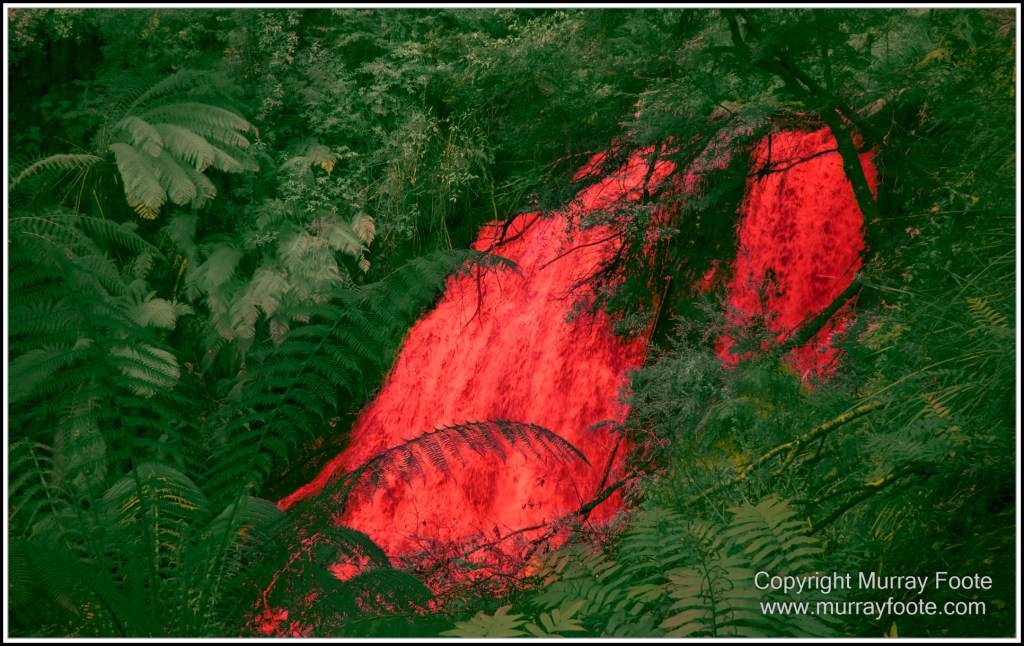 Hogarth Falls, Infrared, Landscape, Macquarie Harbour, Maria Island, Nature, Photography, Tasmania, Travel, Wilderness