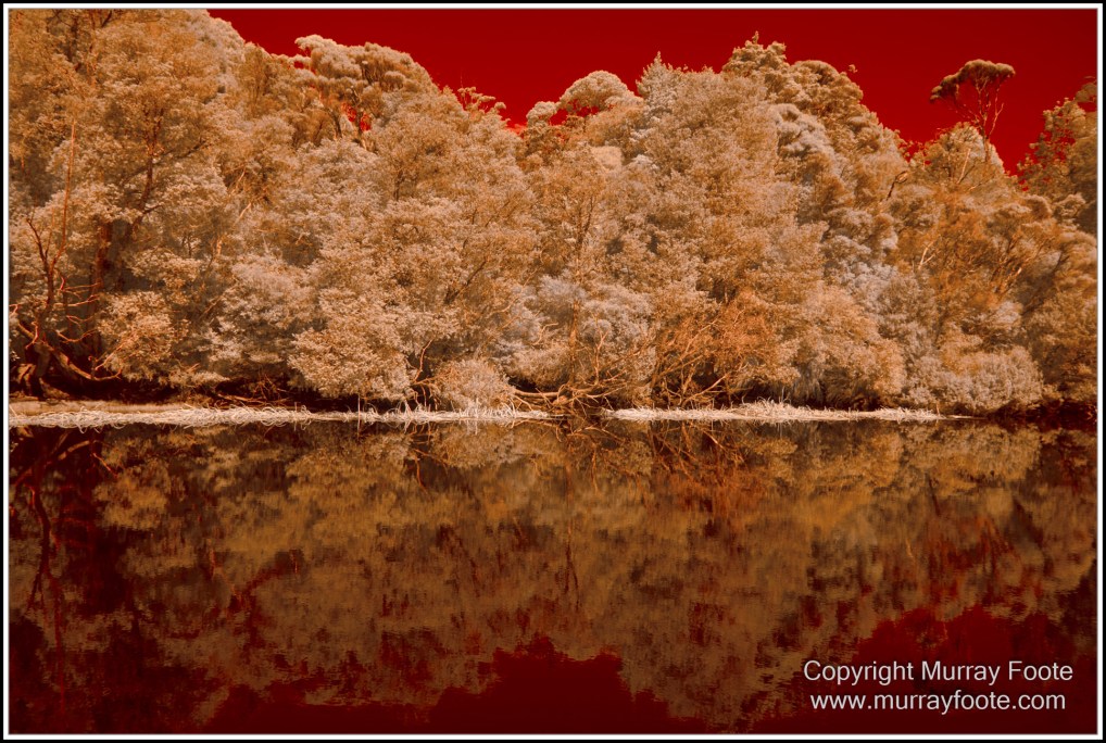 Infrared, Landscape, Nature, Photography, Pieman Heads, Pieman River, Pieman River Cruise, Reflections, Tasmania, Travel, Wilderness