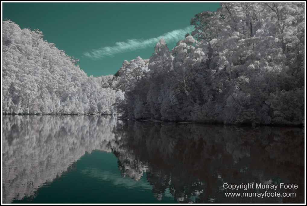 Infrared, Landscape, Nature, Photography, Pieman Heads, Pieman River, Pieman River Cruise, Reflections, Tasmania, Travel, Wilderness