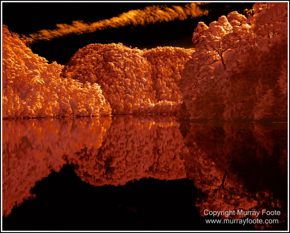 Infrared, Landscape, Nature, Photography, Pieman Heads, Pieman River, Pieman River Cruise, Reflections, Tasmania, Travel, Wilderness