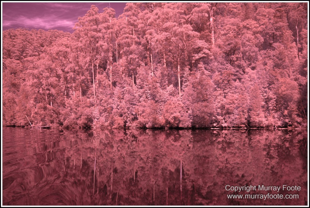 Infrared, Landscape, Nature, Photography, Pieman Heads, Pieman River, Pieman River Cruise, Reflections, Tasmania, Travel, Wilderness