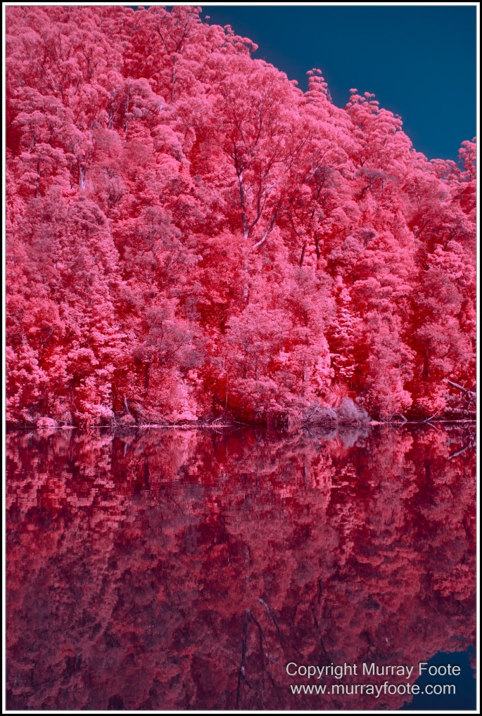 Infrared, Landscape, Nature, Photography, Pieman Heads, Pieman River, Pieman River Cruise, Reflections, Tasmania, Travel, Wilderness