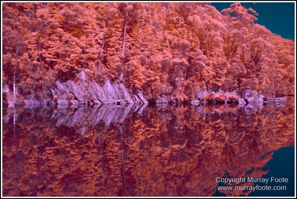 Infrared, Landscape, Nature, Photography, Pieman Heads, Pieman River, Pieman River Cruise, Reflections, Tasmania, Travel, Wilderness