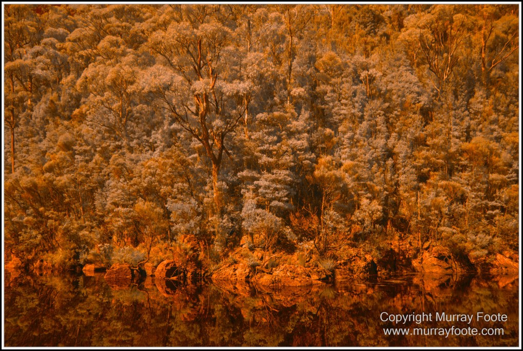 Infrared, Landscape, Nature, Photography, Pieman Heads, Pieman River, Pieman River Cruise, Reflections, Tasmania, Travel, Wilderness