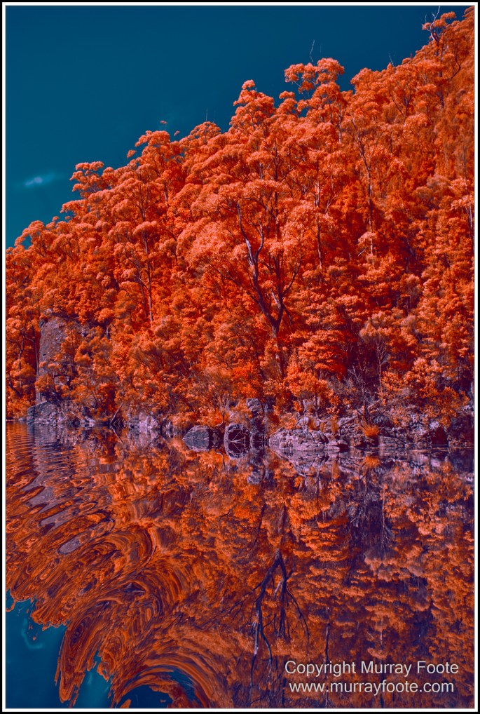 Infrared, Landscape, Nature, Photography, Pieman Heads, Pieman River, Pieman River Cruise, Reflections, Tasmania, Travel, Wilderness
