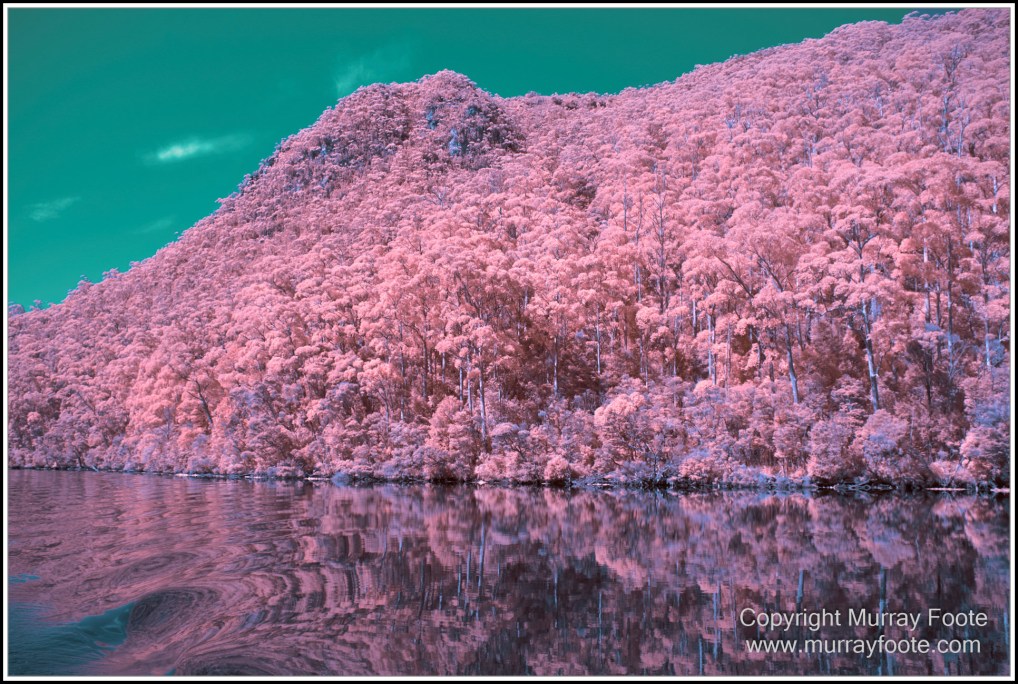 Infrared, Landscape, Nature, Photography, Pieman Heads, Pieman River, Pieman River Cruise, Reflections, Tasmania, Travel, Wilderness