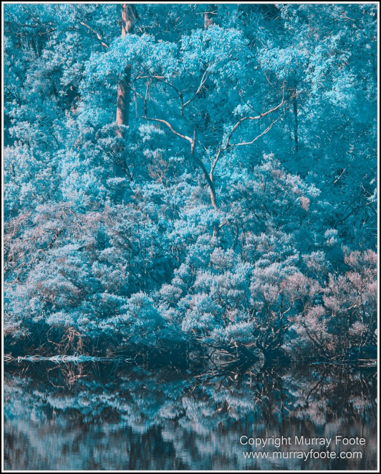 Infrared, Landscape, Nature, Photography, Pieman Heads, Pieman River, Pieman River Cruise, Reflections, Tasmania, Travel, Wilderness