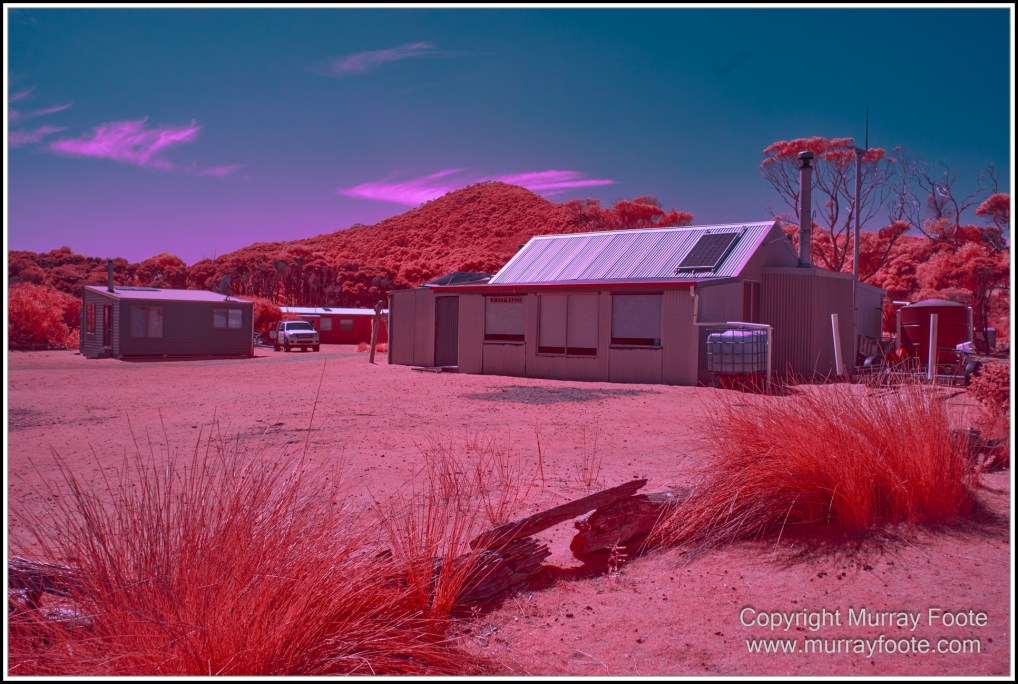 Infrared, Landscape, Nature, Photography, Pieman Heads, Pieman River, Pieman River Cruise, Reflections, Tasmania, Travel, Wilderness