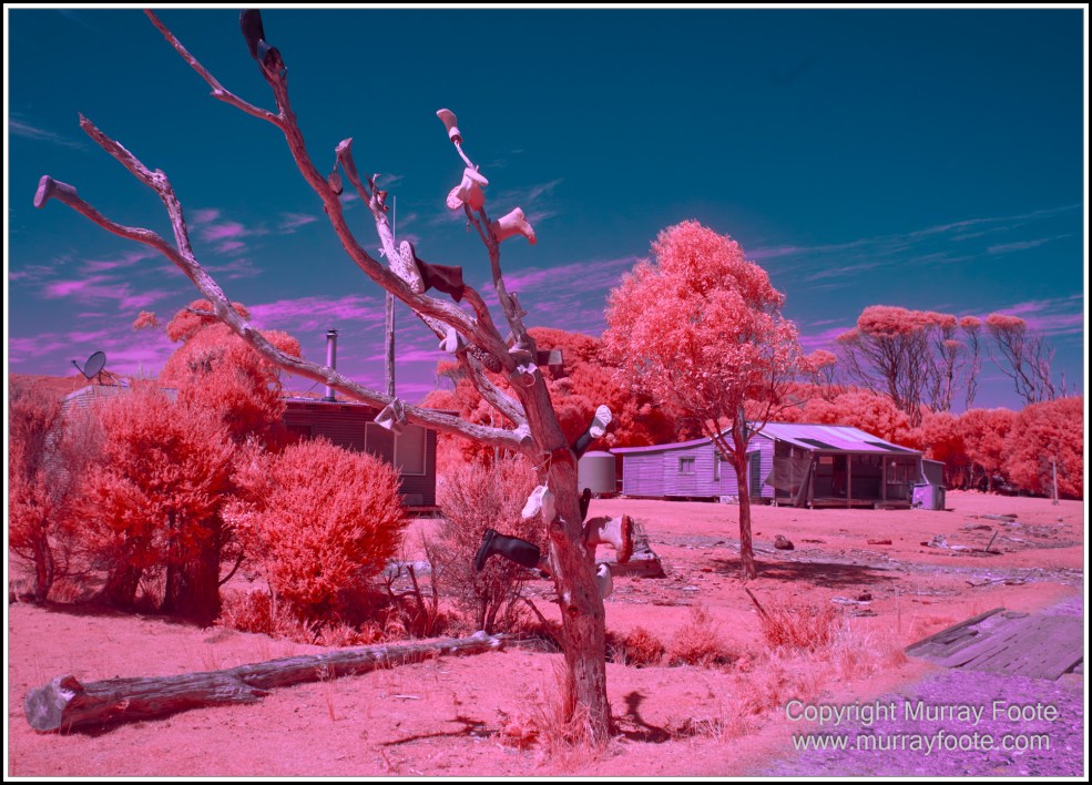 Infrared, Landscape, Nature, Photography, Pieman Heads, Pieman River, Pieman River Cruise, Reflections, Tasmania, Travel, Wilderness