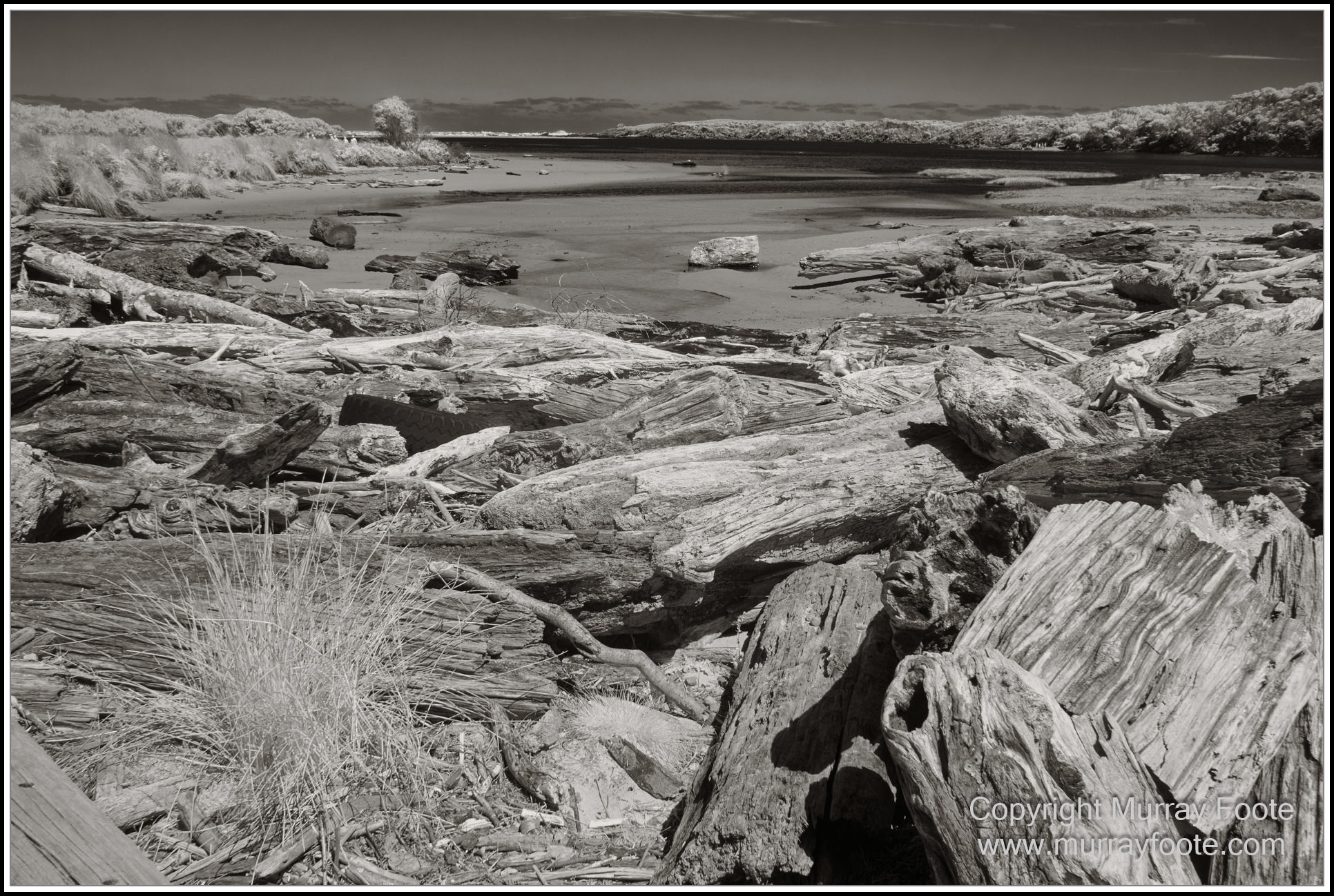 Black and White, Eagles, Infrared, Landscape, Monochrome, Nature, Photography, Pieman Heads, Pieman River, Travel, Wildlife