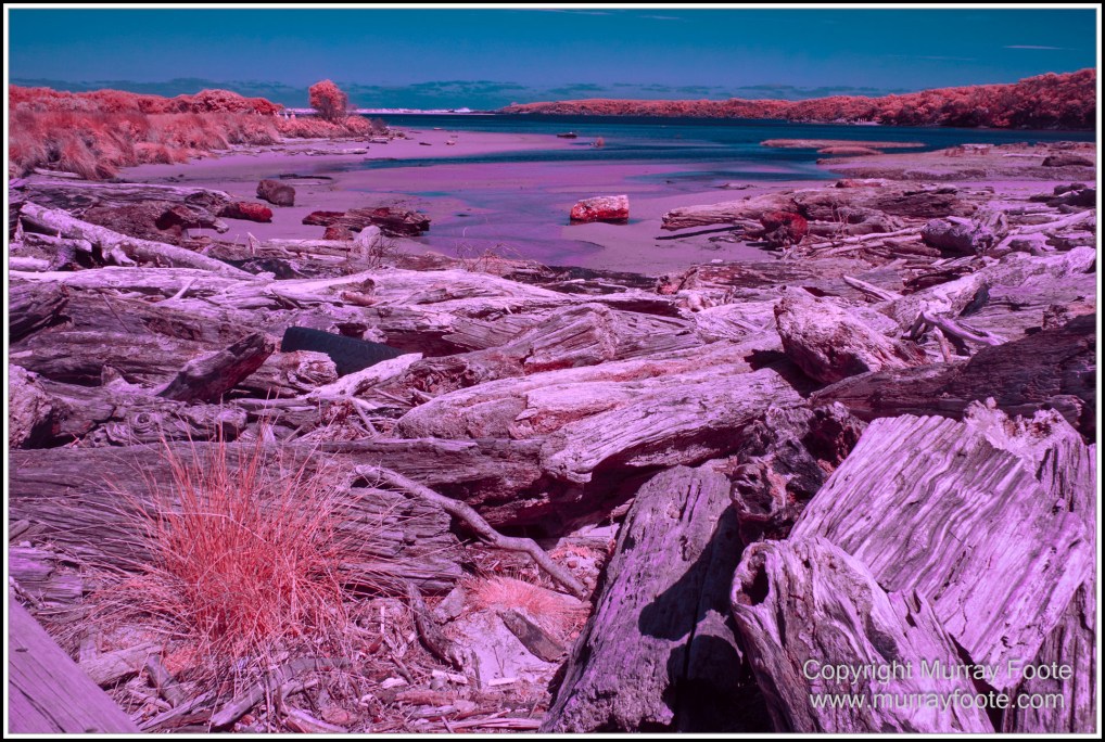 Infrared, Landscape, Nature, Photography, Pieman Heads, Pieman River, Pieman River Cruise, Reflections, Tasmania, Travel, Wilderness
